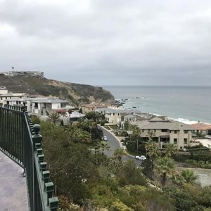 Meet your Posher, Pat